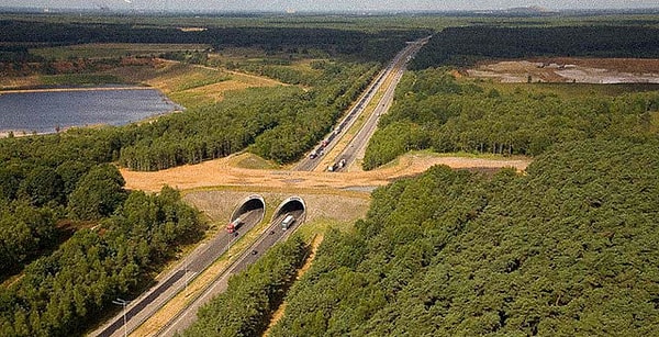 Мост для животных, Бельгия