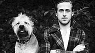 Ryan Gosling ve Köpeği George'un Muhteşem Hayatını Anlatan 25 Kare