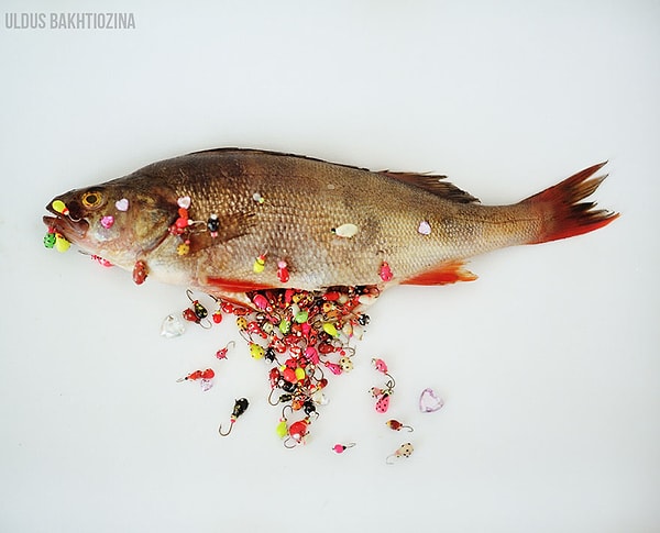 Золотая рыбка