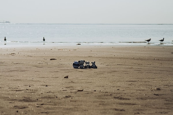 Давай пойдем на пляж!