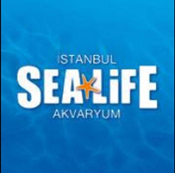 İstanbul Sea Life Akvaryum