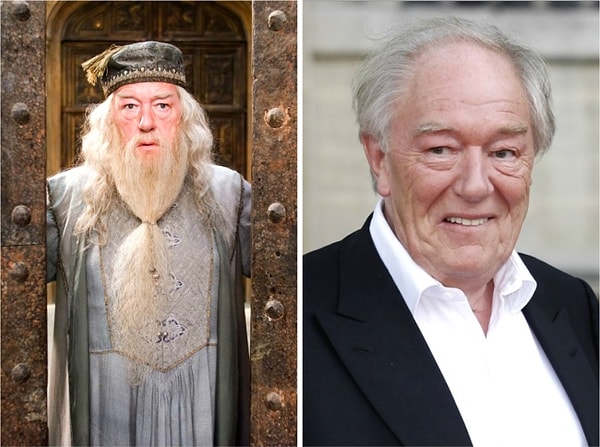 Richard Harris (Albus Dumbledore)