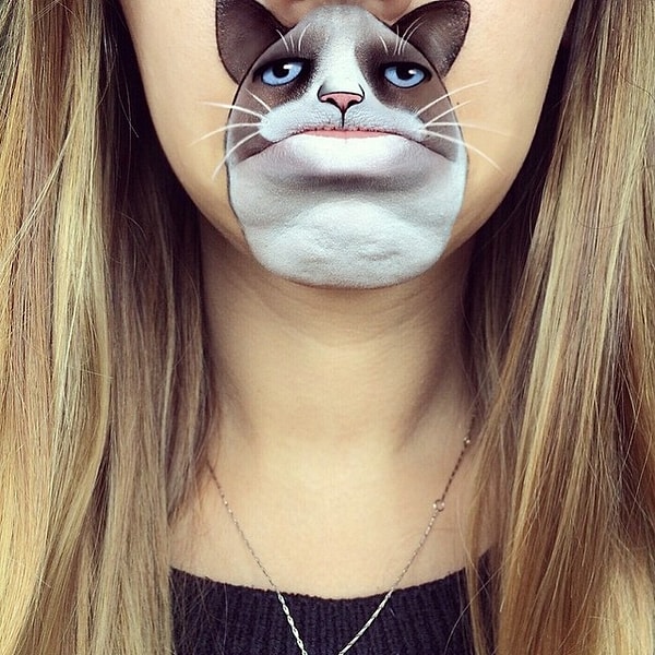 Сердитый кот