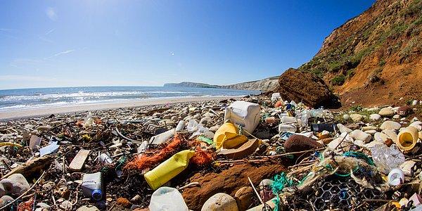 1. Yaşadığımız gezegeni neredeyse geri dönülmez bir şekilde plastiğe boğmayı başardık.