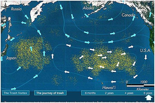 3. Bugün, Pasifik Okyanusu'ndaki yüzer gezer çöp birikintisinin büyüklüğünün, 700.000 kilometre kareye; yani Türkiye'nin yüzölçümüne ulaştığı öngörülmektedir.