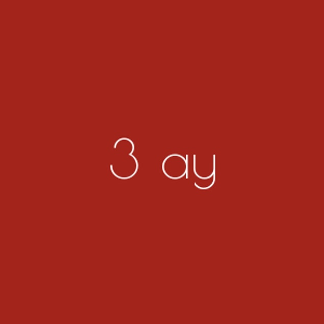 3 ay!