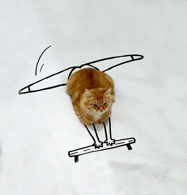 В попытках обрести безупречную фигуру