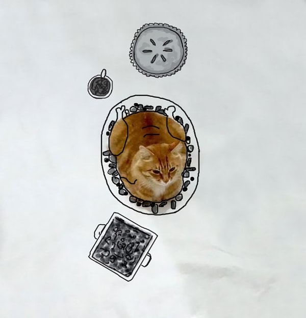 День благодарения