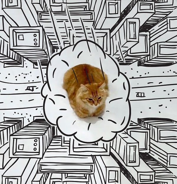 Пролетая над городом