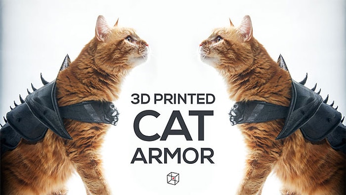 Kedinizin Savaşa Hazır Olduğundan Emin Olun! 3 Boyutlu Yazıcıdan Üretilen Kedi Zırhı
