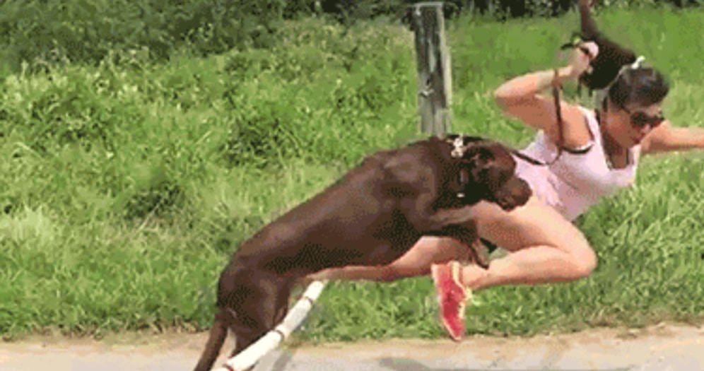 Hayat Karşısındaki Duruşumuzu Tam Anlamıyla Gösteren 19 Gif