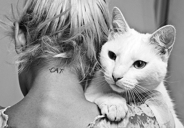 12. Обними домашнего питомца