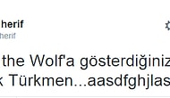 Oscar And The Wolf Konserinin Biletleri 2 Günde Tükenince Hayranlarının Buna Tepkileri