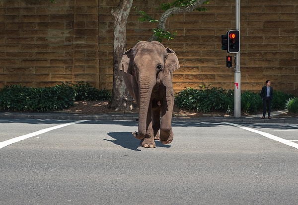 Переход проезжей части в неположенном месте