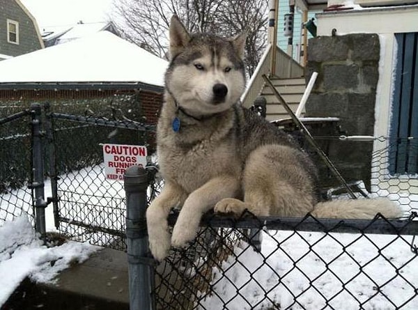 Никак не могу понять, в чем же тут дело.
