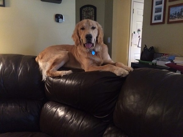 Нет, все не то. Здесь явно дело в чем-то большем.