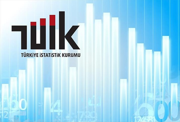 TÜİK Bölge Müdürü: 'Prosedür gereği bu cezayı kesmek durumundayız'