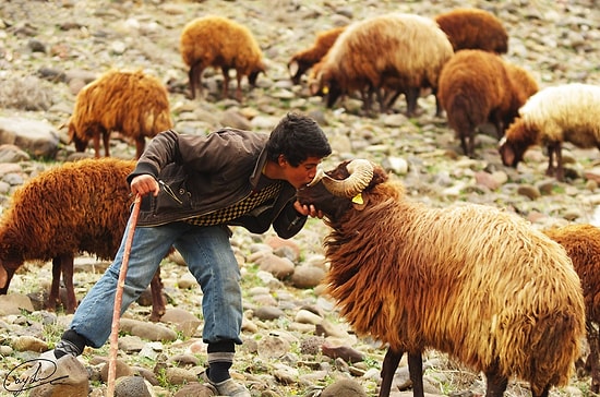 İyi Şeyler de Gördük: 2015 Türkiye'sinde Biraz Olsun Gülümseten 33 Haber