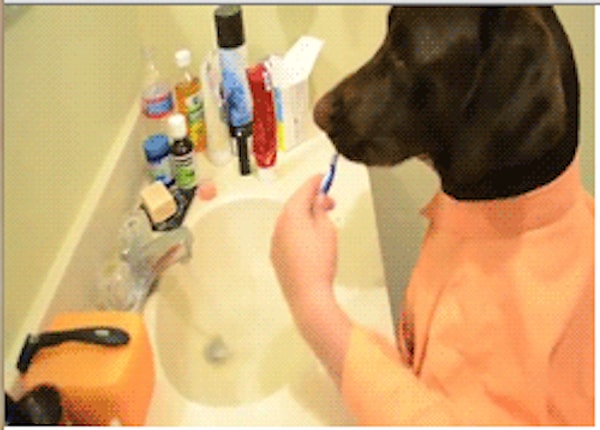 10. Чистить зубы, чувствуя мятную свежесть.