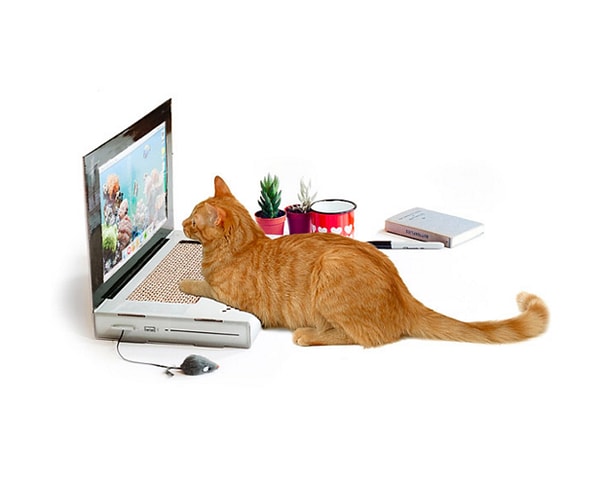 15. Когтеточка, которая выглядит, как ноутбук.