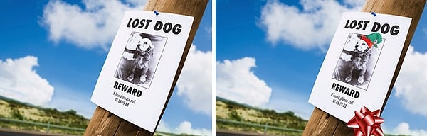 3. Если вдруг пропадет твоя собака.