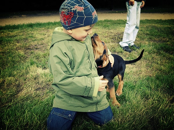 4. Если у вас есть дети, то животному придется несладко.