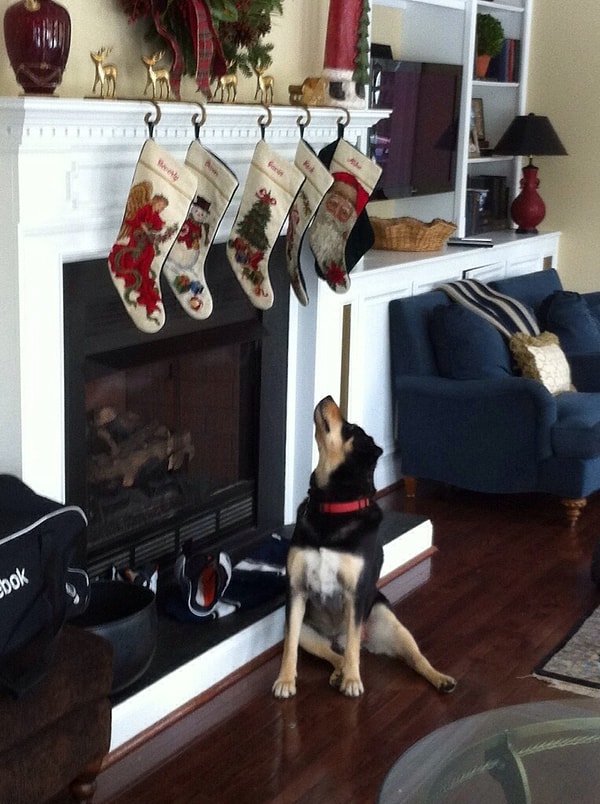 2. "Надеюсь, Санта знает какой из носков мой".