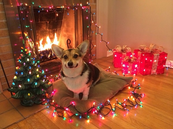 9. "Смотри, я украсил камин, а когда придет Санта?"