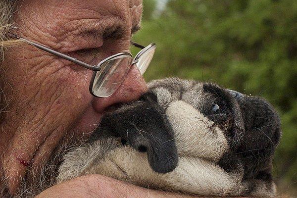 6. Günler süren uykusuzluğun ardından bitkin halde olan Robert Hooper, Valley Yangını sırasında yanıp kül olan mülkünün içinde köpeği Toby'i kucaklarken. Middleton, California. 14 Eylül 2015.