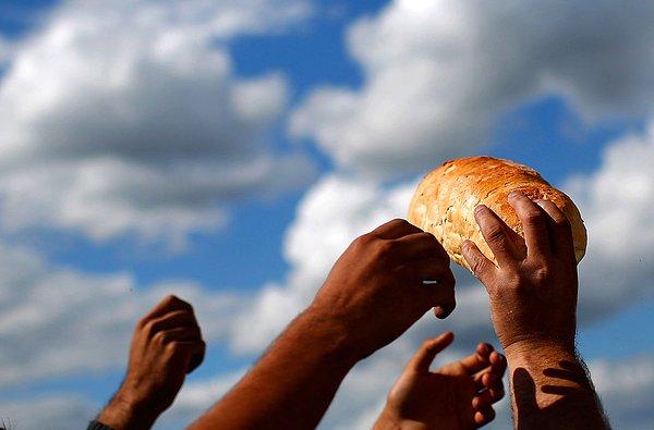 12. Bir yardım görevlisi, Sırbistan'daki bir geçiş kampında göçmenlere ekmek ve erzak dağıtırken. Magyarkanizsa. 7 Eylül 2015.