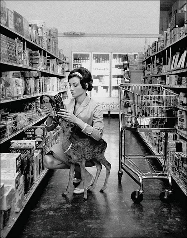 17. Audrey Hepburn evcil hayvanı olan yavru geyik ile alışverişte. Beverly Hills, 1958.