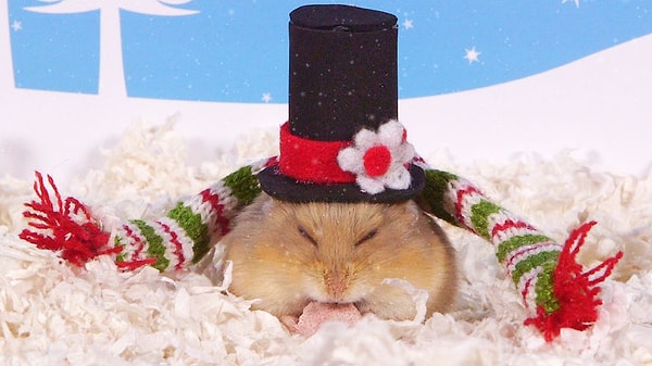 День 11: Рождественские шляпы.