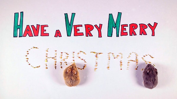 День 12: Счастливого Рождества!