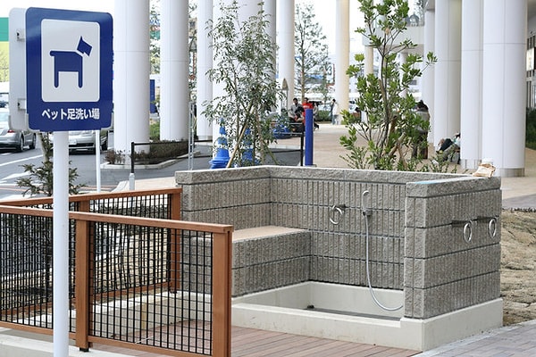 11. Общественные спа для собак.