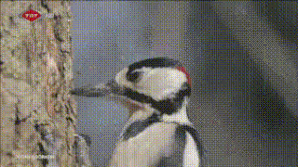 1.