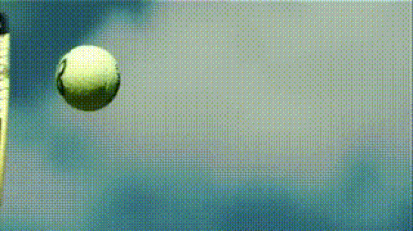 11.