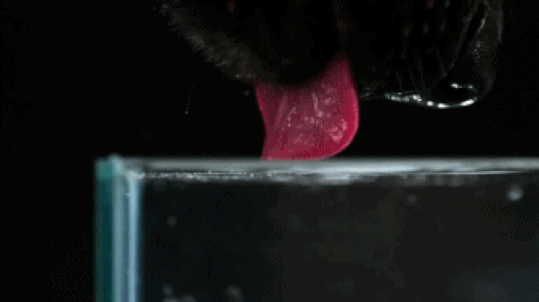 23.