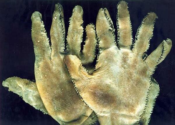 14. Seri katil Ed Gein’in, gerçek insan derisinden yaptığı eldiveni.