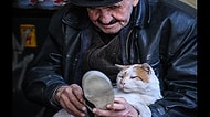 İkinci El Ayakkabı Satan Mehmet Amca ve Kedisi Osman'ın İçinizi Isıtacak Hikayesi