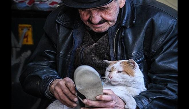 İkinci El Ayakkabı Satan Mehmet Amca ve Kedisi Osman'ın İçinizi Isıtacak Hikayesi