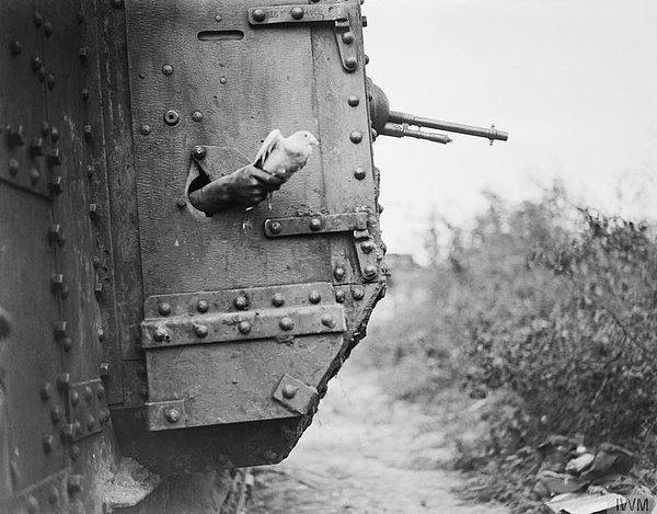 22. Tankların kullanıldığı ilk önemli muharebe olan Amiens Muharebesi sırasında bir tankın bölmesinden salınan posta güvercini, 1918
