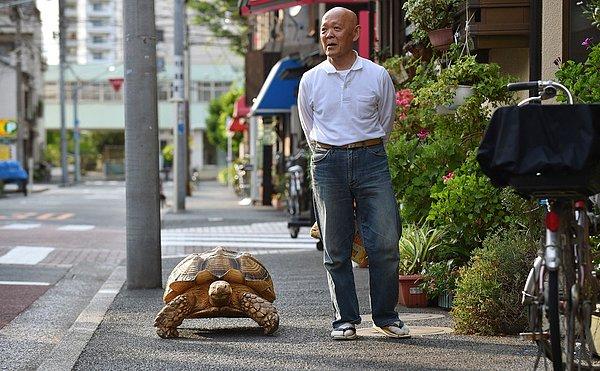 13. Bon-Chan ismindeki 19 yaşında Afrika Mahmuzlu Kaplumbağasıyla Tokyo sokaklarında gezen Hisao Mitani
