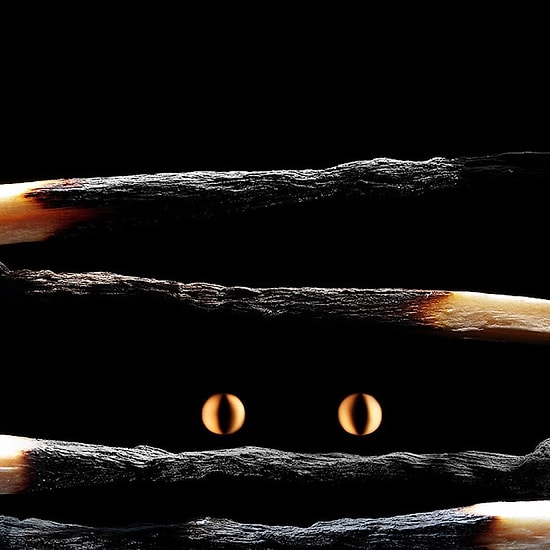 Rus Sanatçı Stanislav Aristov'un Yanmış Kibritler Kullanarak Oluşturduğu İlginç Çalışmalar