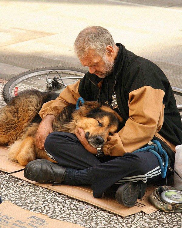9. Köpekler sevgilerini sunarken, statüye ya da paraya bakmıyor...