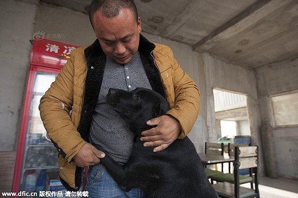 Yan bu olağanüstü fedakarlığı yaparken; Çin'de hala Yulin Köpek Eti Festivali adıyla köpek kıyımlarına devam ediliyordu.