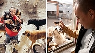 2 Bin Köpeğin Hayatını Kurtarabilmek İçin İflas Eden Çinli Milyoner Wang Yan