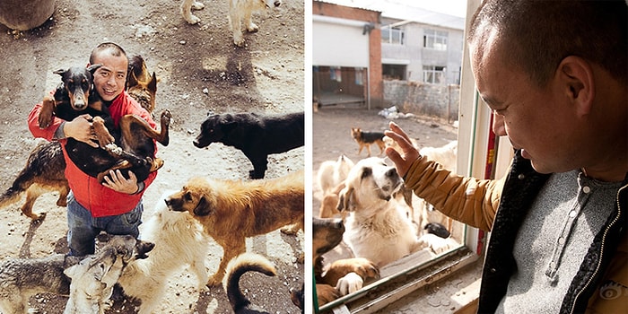 2 Bin Köpeğin Hayatını Kurtarabilmek İçin İflas Eden Çinli Milyoner Wang Yan