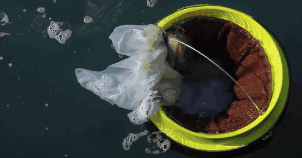 Yüzerek Denizde Temizlik Yapan Çöp Kutusu