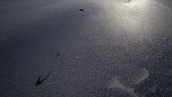 2. Бонневилль, штат Юта