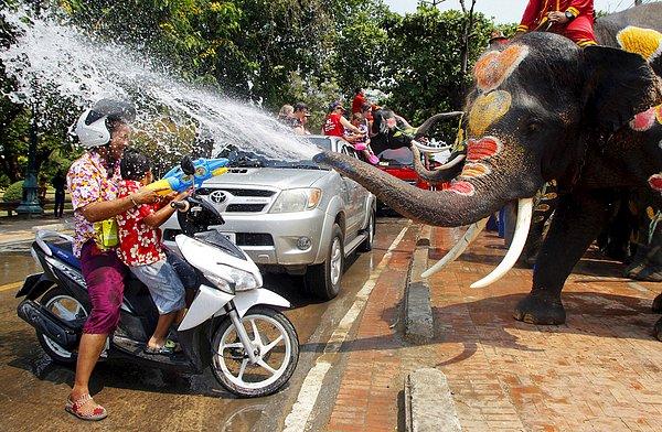 8. Tayland'ın Ayutthaya eyaletindeki Songkran su festivali sırasında köylülere su püskürten filler. 10 Nisan 2015.